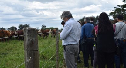 Ganadería sostenible: Uruguay le muestra al mundo cómo produce, un diferencial de alto valor.