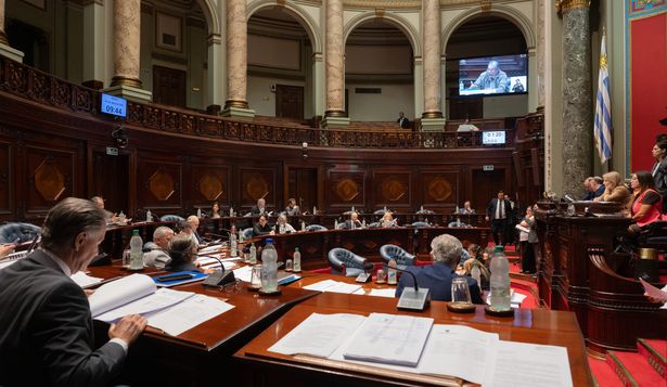 Duro debate en el Senado por ascenso de González: FA dijo que a la oposición le duele Cardama y blancos y colorados cuestionaron que se partidice la Armada