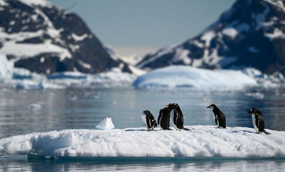 https://www.bbc.com/mundo/articles/cqjz1rj9zldo