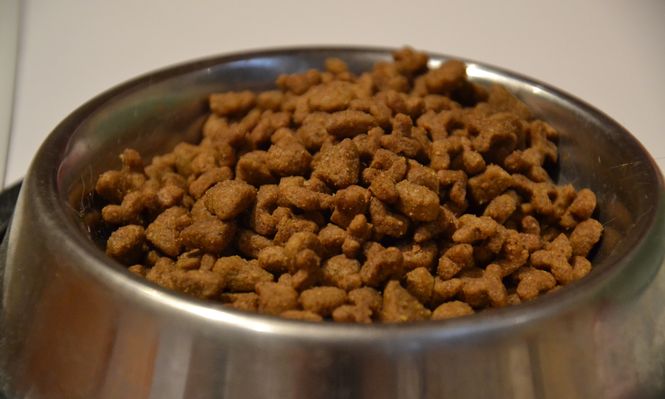 Alimento balanceado para mascotas.