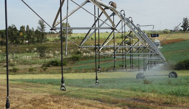 MGAP destacó el crecimiento del uso de la tecnología de riego con pivotes y señaló el por qué se ha podido crecer tanto en estos años.