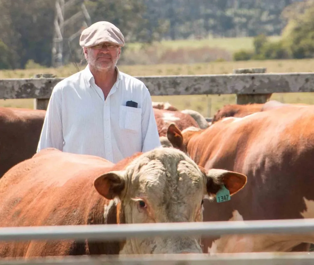 Nicolás Shaw, nuevo presidente de la Sociedad de Criadores de Hereford del Uruguay.