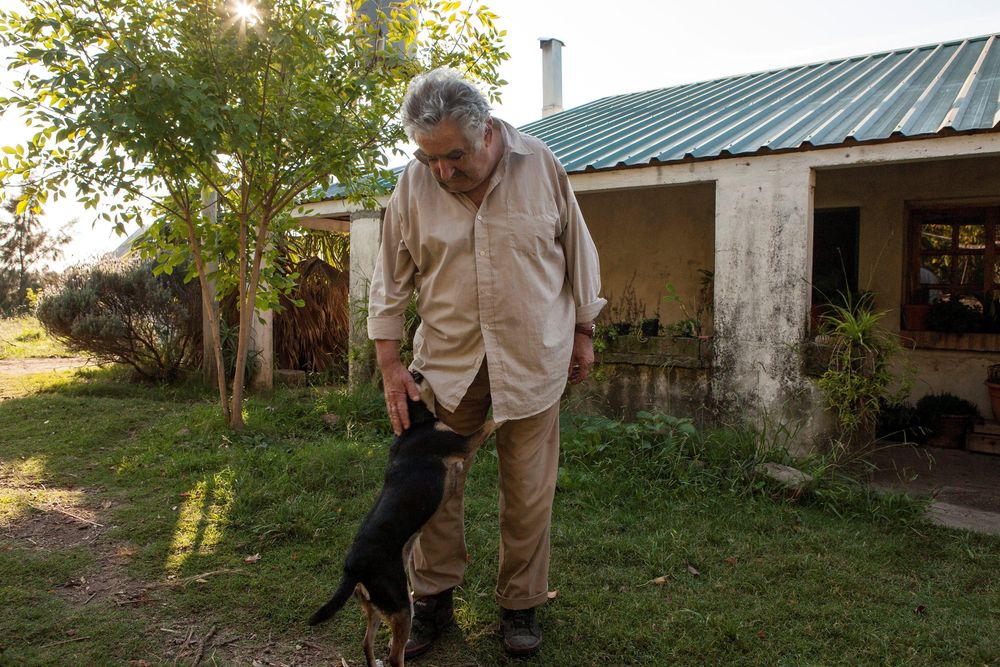 Mujica y su perra de tres patas Manuela, que murió en 2018: "Es el integrante más fiel que tuve en el gobierno", dijo en una entrevista con BBC Mundo.