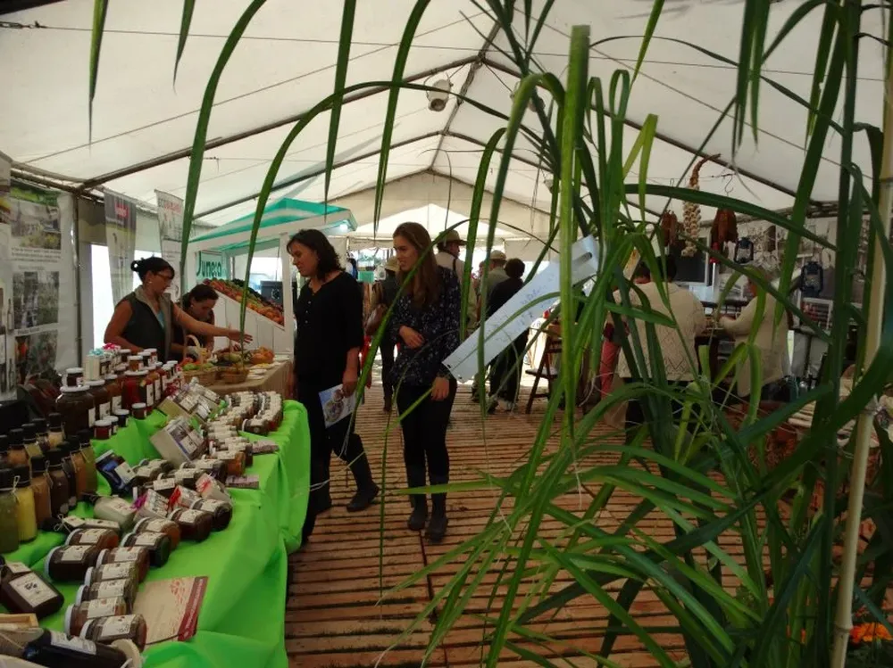 Mujeres del área rural de Montevideo exponen sus productos.