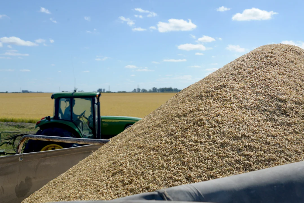 La guerra comercial entre las dos potencias mundiales creó la oportunidad para que Argentina y Brasil aumenten sus exportaciones de productos clave como carne y cereales.