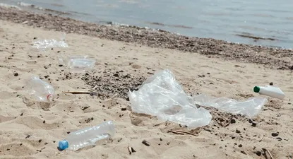 Los científicos advierten que la absorción de microplásticos a través de los alimentos de origen marino pone en peligro a las comunidades costeras e indígenas