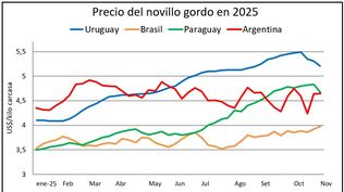 Mercado ganadero en la región.
