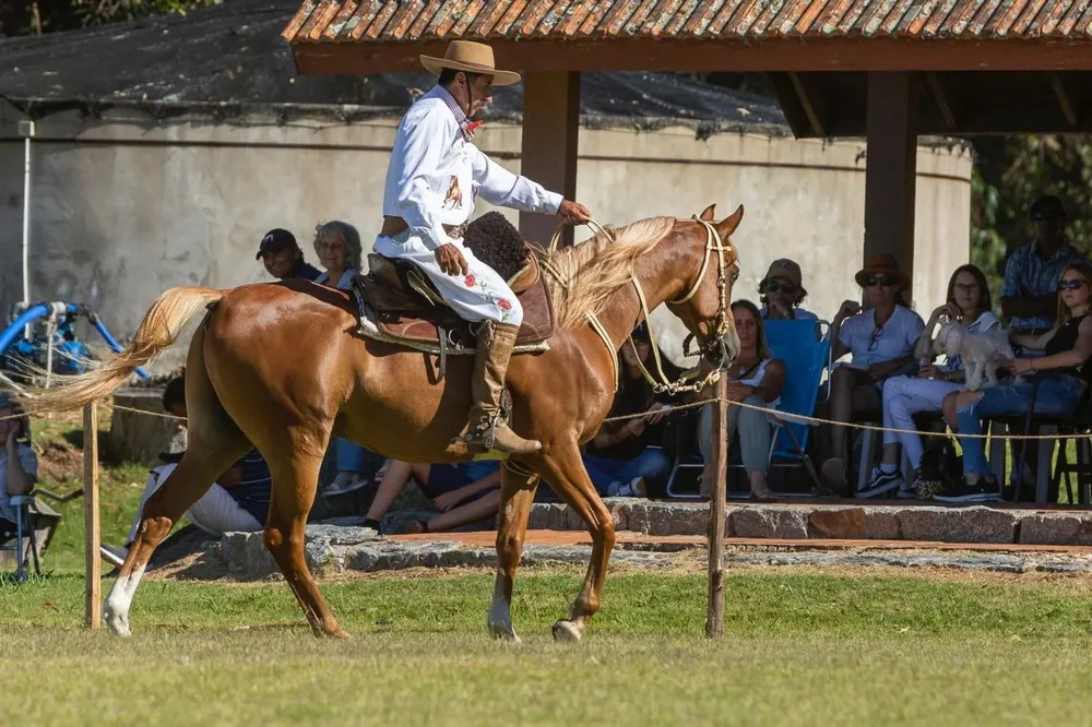 Las actividades se realizaron en Maldonado.