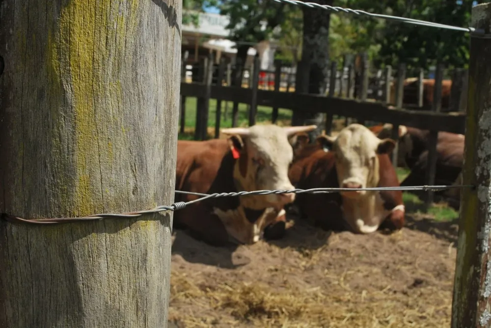 La cabaña Cerros Blancos ha participado en varias ocasiones en la Central de Pruebas de Kiyú