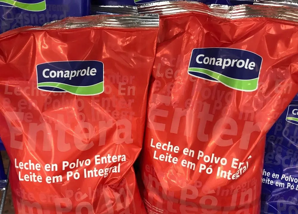 Leche en polvo entera de Conaprole.