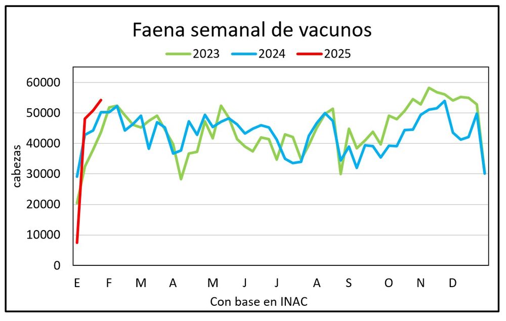 Mercado ganadero, Blasina y Asociados.