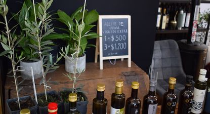 Productores de aceite de oliva uruguayo defienden su calidad y lo dan a degustar en la Rural del Prado