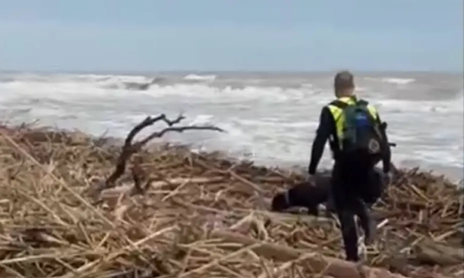 La Guardia Civil rastrea con perros zonas de playa donde encontraron cuerpos.