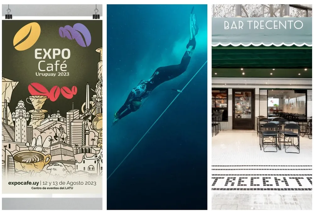 Café, cine y gastronomía, en el Picnic! de hoy