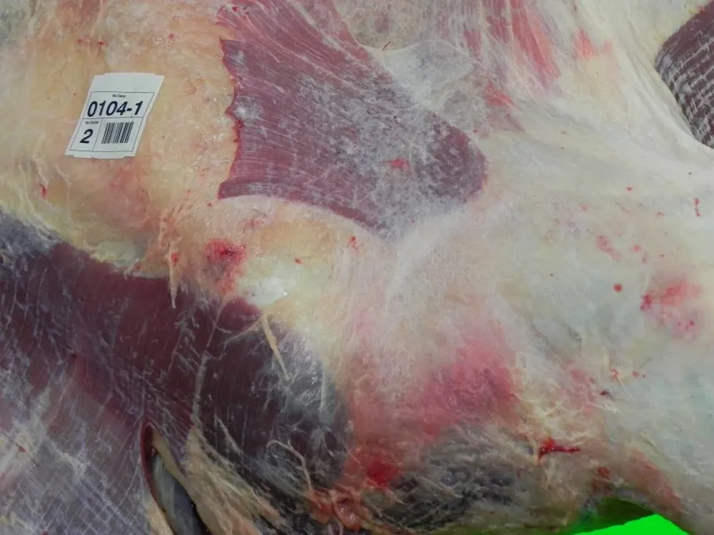 La facturación por carnes vacunas llegó este año a los US$ 548,1 millones.