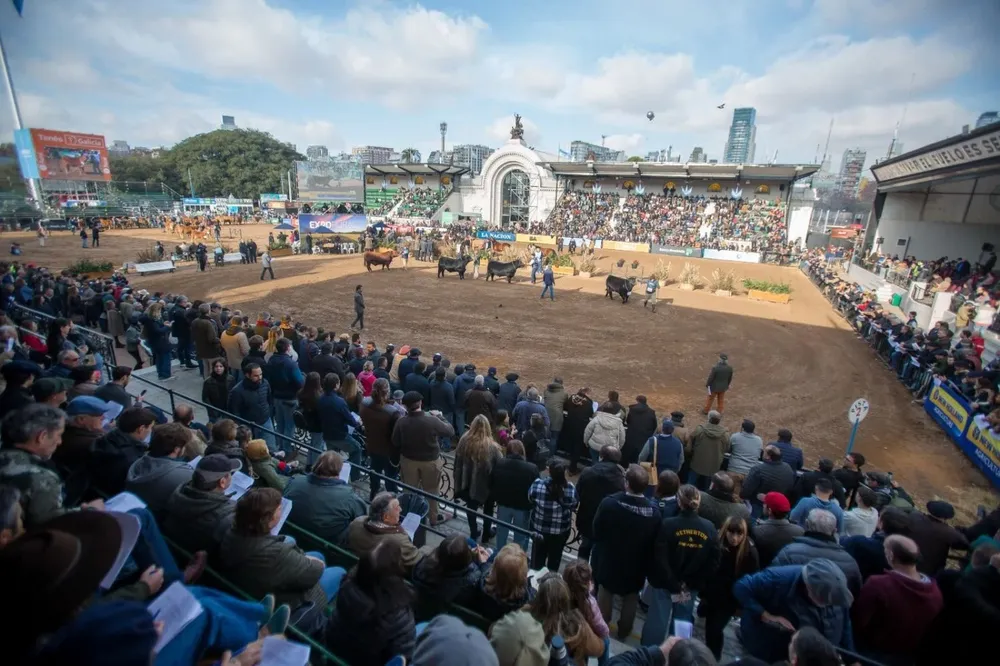La pista ganadera de la Expo Rural en Palermo.