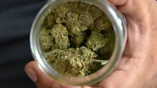 Demócratas presentarán una ley para despenalizar la marihuana en EEUU