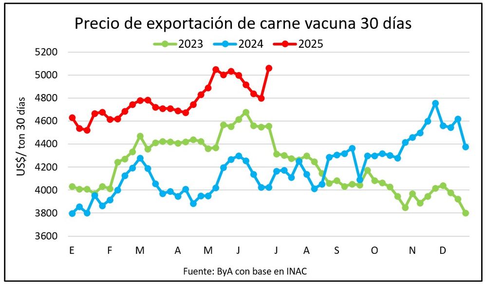 WhatsApp Image 2025-07-11 at 13.07.11 (1).jpeg