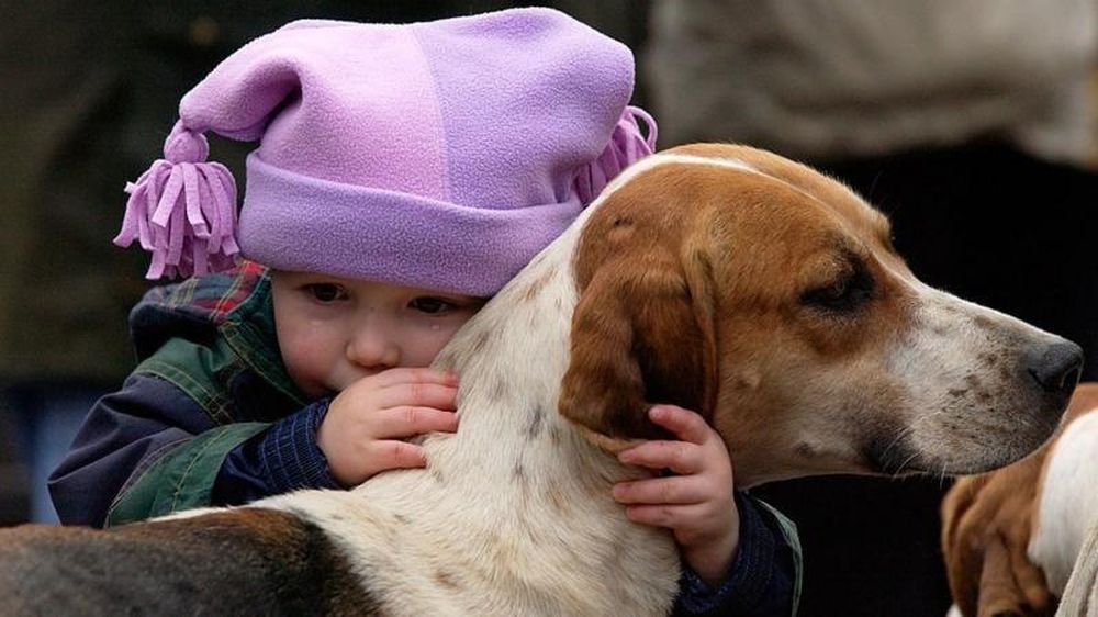 Los científicos creen que los perros tienen también un gen que los hace ser amigables, a diferencia de los lobos.