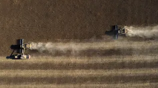Agricultura en campos de Argentina.