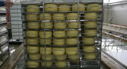 Productos lácteos: quesos, uno de los rubros de exportación.