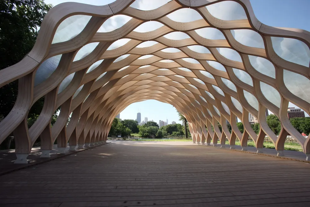 Las secciones apanaladas de abetos Douglas diseñadas por Gang en el Lincoln Park son aulas abiertas que estimulan a los niños a estudiar las plantas y los animales de cerca