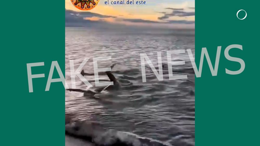 WhatsApp Image 2024-07-27 at 08.57.13 (2).jpeg