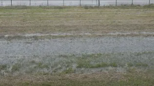 Inundaciones: varios casos en predios productivos en Rocha y Treinta y Tres.