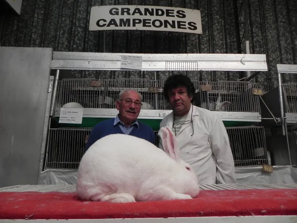 Brígido Liesegang, Lauro Da Luz y el mejor conejo