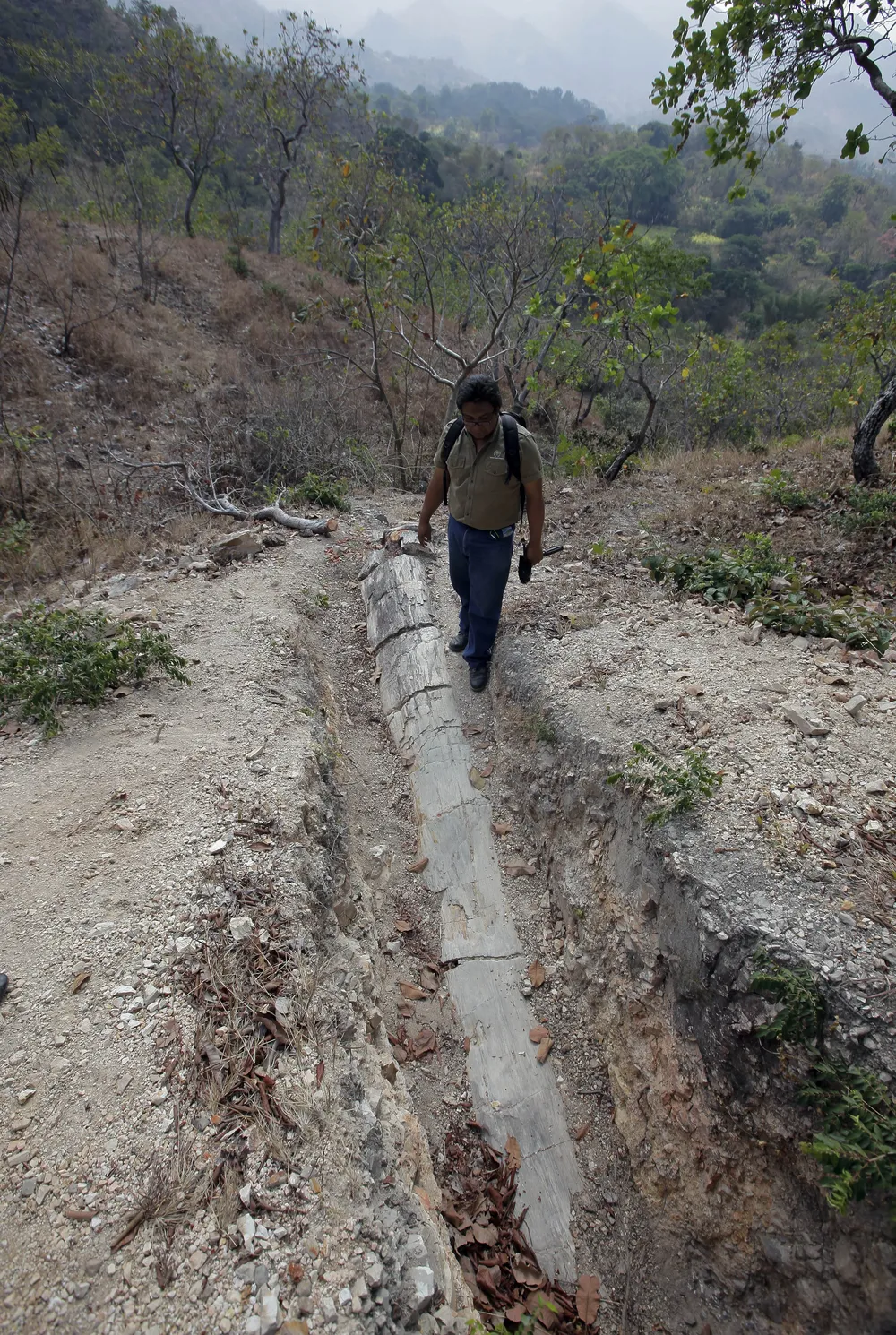 El paleontólogo Daniel Aguilar observa un trozo de árbol petrificado que mide un poco más de siete metros y cuya edad podría oscilar entre 25 y 26 millones de años