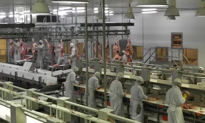 Núcleo duro industrial cayó en tres trimestres