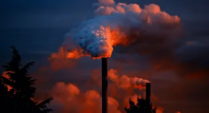 El Observador | 1542913911969.webp