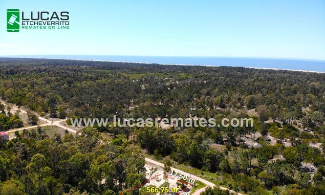 Gran Remate Online de Lucas Etcheverrito: 27 terrenos en cuotas en La Paloma, Punta del Diablo y La Esmeralda