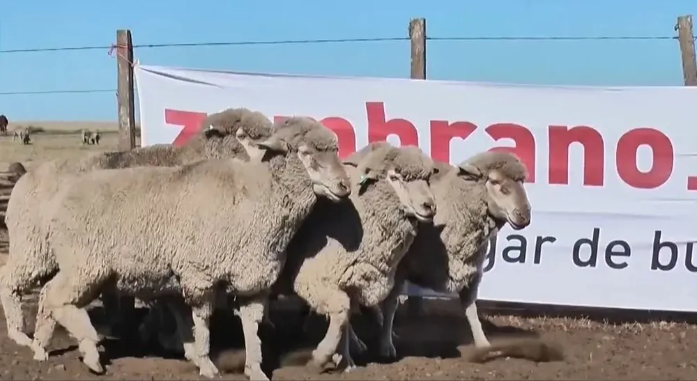 La liquidación se hará en la Agropecuaria de Salto.
