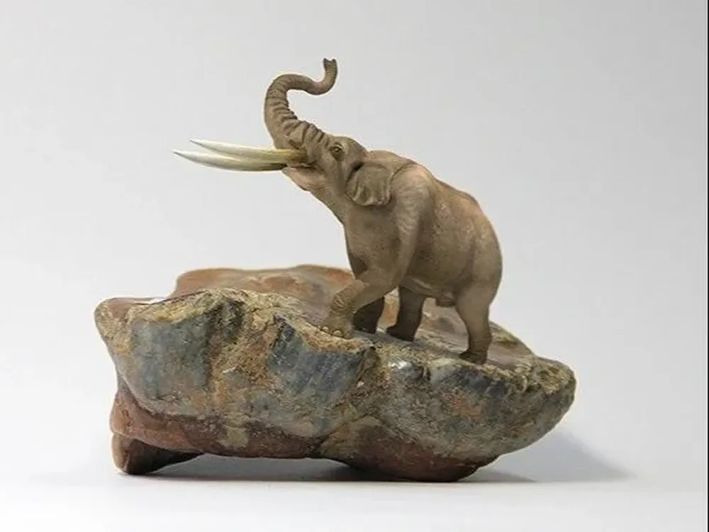 El fósil analizado tiene 35 mil años