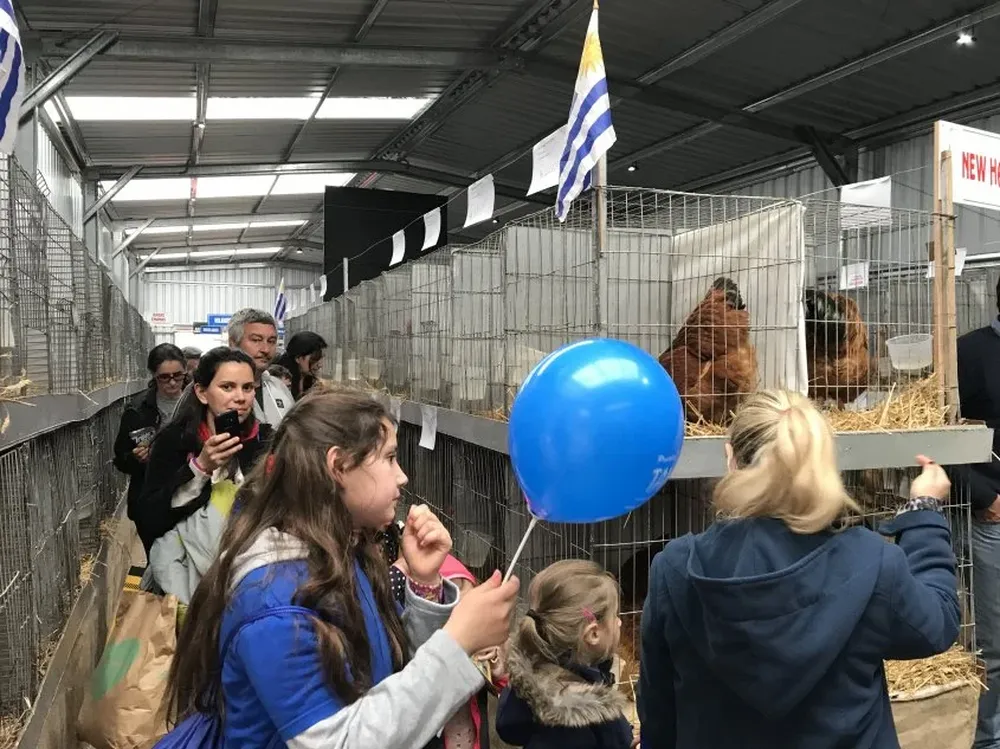 El galpón de las aves es de los espacios más visitados en cada Expo Prado.