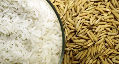 Arroz: cada año Uruguay exporta el 95% de lo que produce.