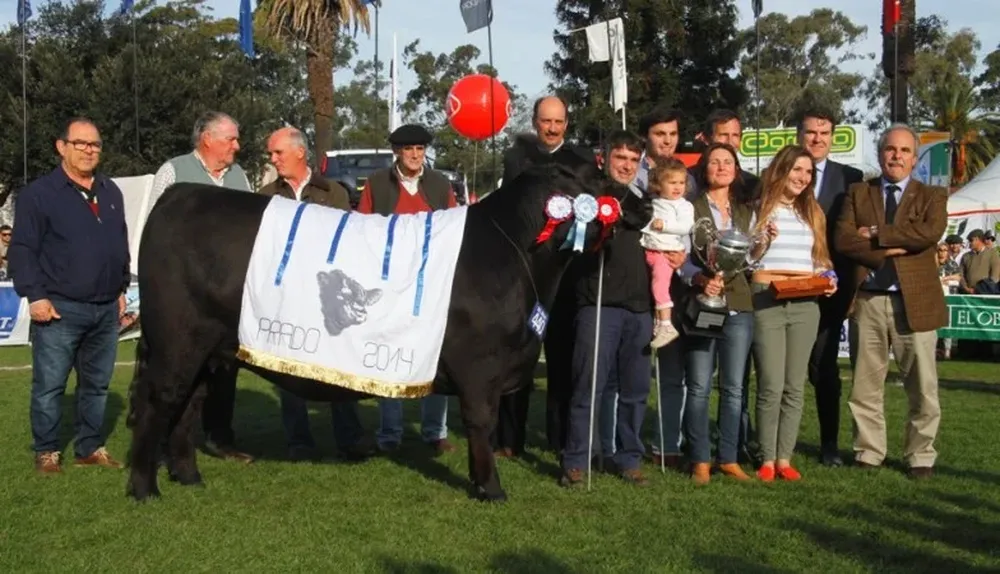 La Gran Campeona Hembra Aberdeen Angus coronada ayer en la Rural del Prado