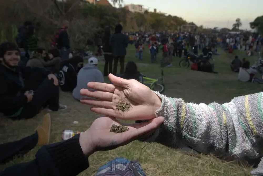 La droga es para uso personal o para compartir en el hogar si la persona es autocultivadora