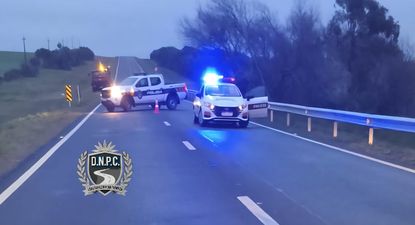 una mujer aparecio muerta sobre la ruta 16: un vehiculo volvio a atropellar el cuerpo y escapo