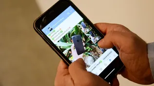 Celulares gratis con el Plan Ibirapitá