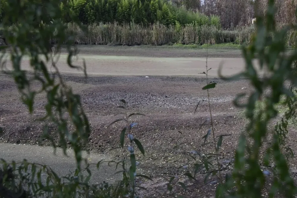 Tajamar casi seco, en una zona de Canelones.