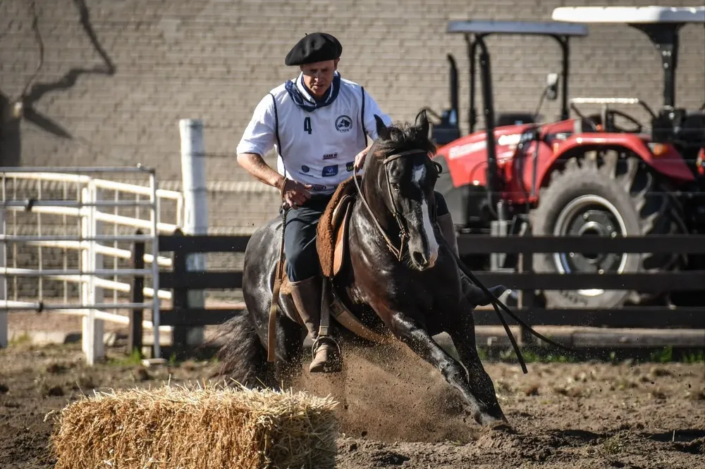 Concurso con caballos de la raza Criollos.