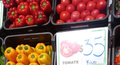 Frutas y verduras: precios a la baja en la mayoría de los rubros.