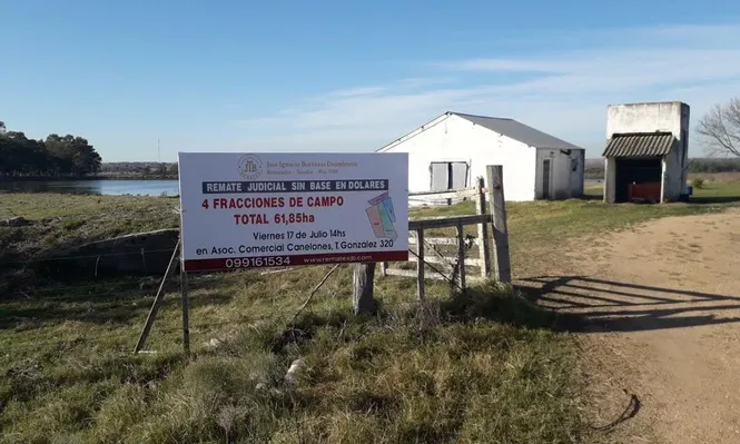 Rematan cuatro fracciones de campo en Canelón Chico