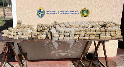 Los paquetes de droga incautados en la Ruta 5