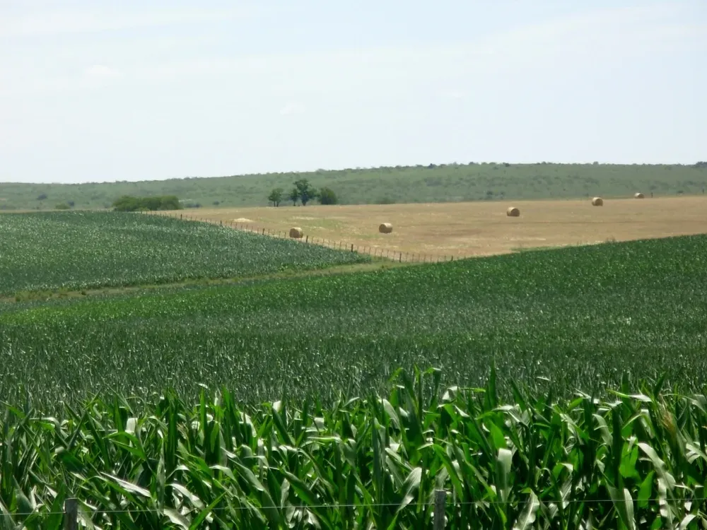 Mujica quiere castigar con tributos la concentración de la tierra
