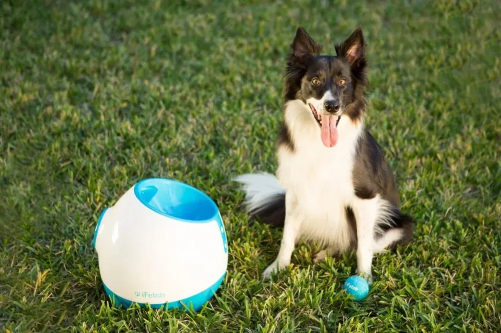 Hay tres tamaños de lanzador de pelotas