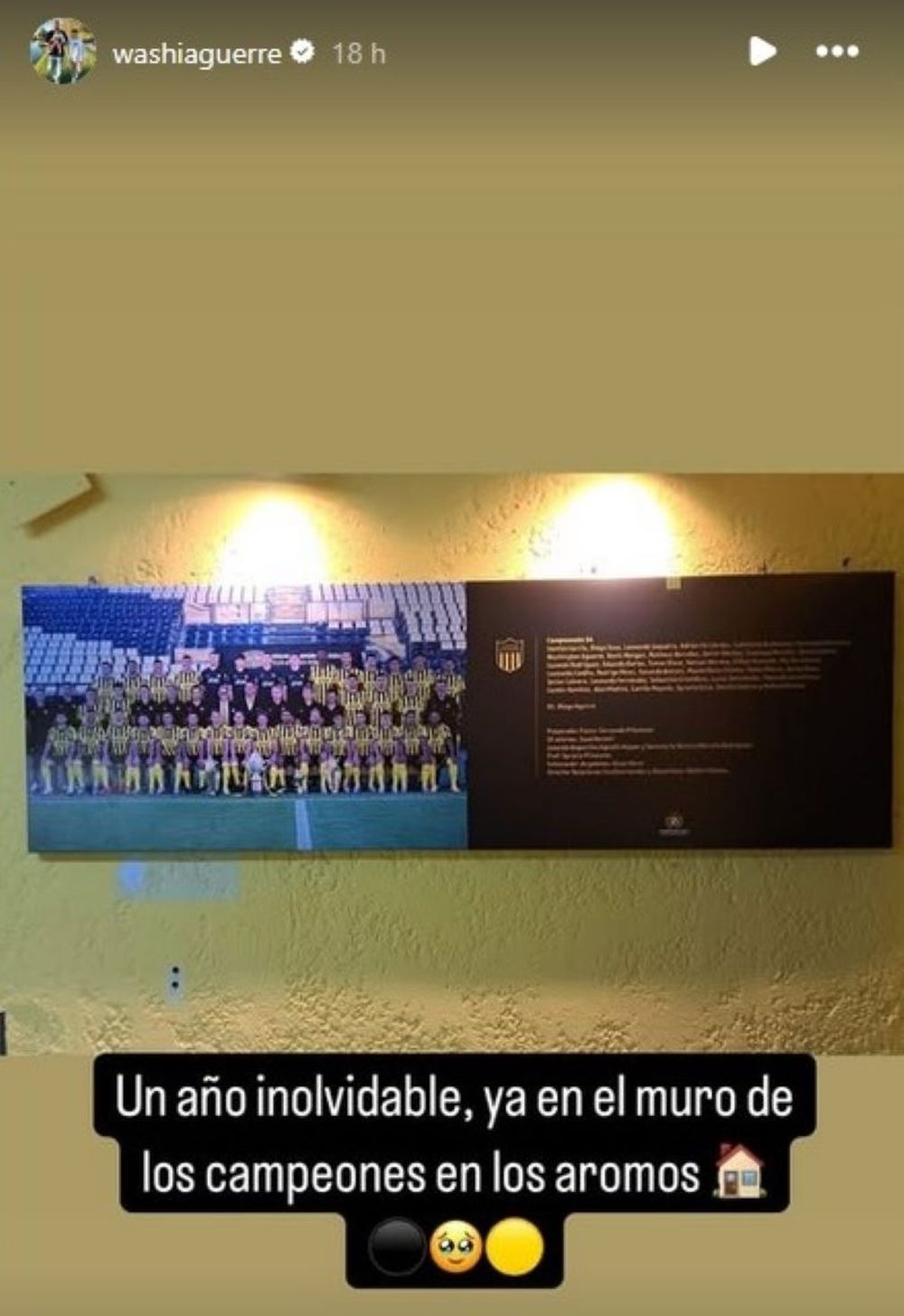 El posteo de Washington Aguerre por estar en el muro de los campeones de Peñarol en Los Aromos El posteo de Washington Aguerre por estar en el muro de los campeones de Peñarol en Los Aromos