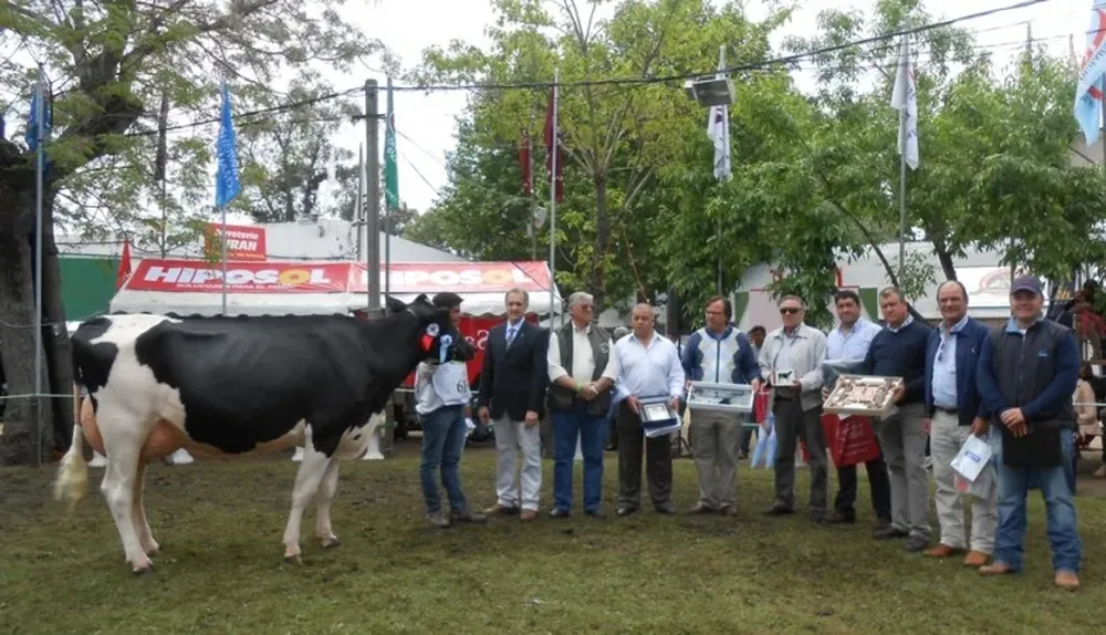 La Gran Campeona Holando de Pedigri de Tornielli Hnos al ser coronada este domingo en San José